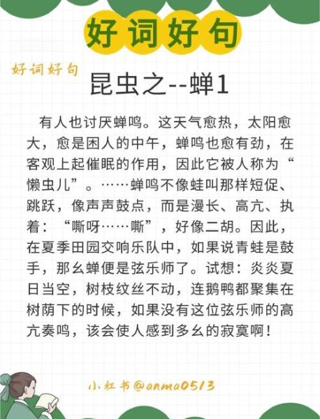 虫鸣怎么形容_虫鸣的词语有哪些