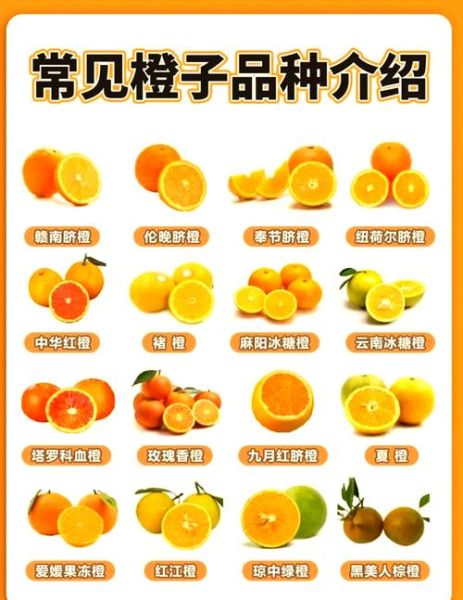 橙子有哪些词语_橙子有哪些词语可以形容