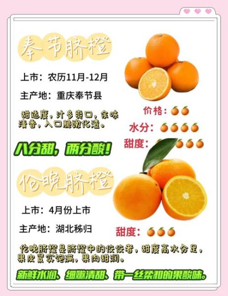 橙子有哪些词语_橙子有哪些词语可以形容