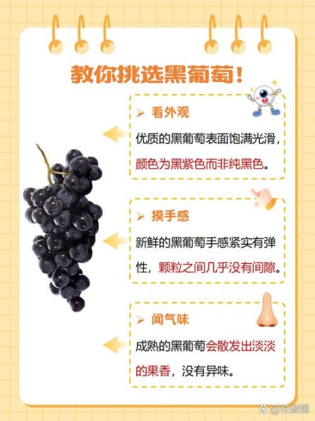 葡萄黑是什么原因_葡萄黑还能吃吗