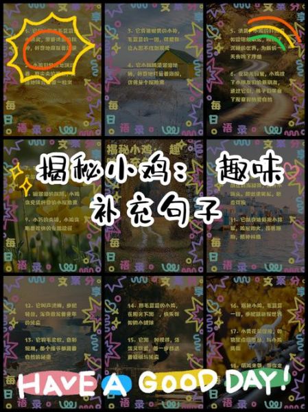 赞美小鸡的词语有哪些_如何优雅地夸小鸡