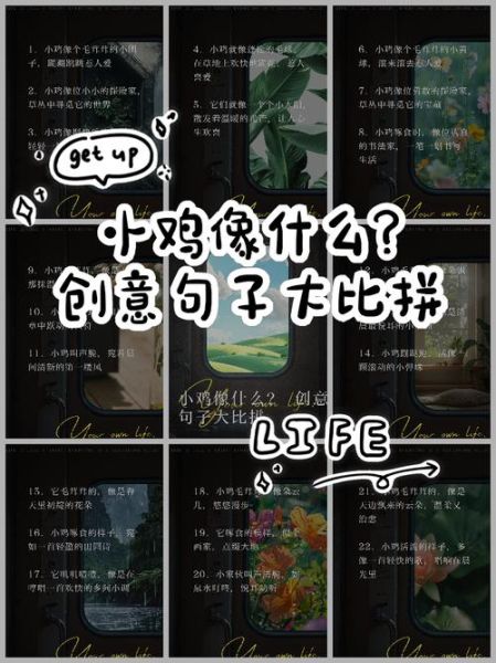 赞美小鸡的词语有哪些_如何优雅地夸小鸡