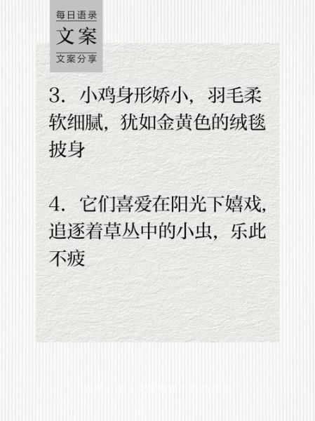 赞美小鸡的词语有哪些_如何优雅地夸小鸡