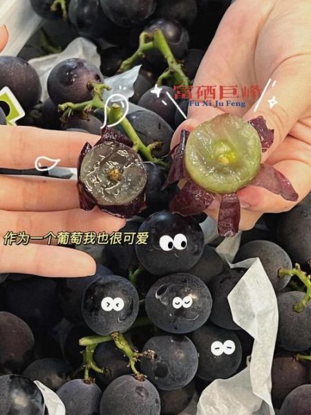葡萄黑是什么原因_葡萄黑还能吃吗