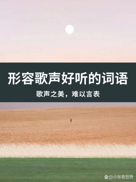 演奏词语怎么写_演奏词语有哪些