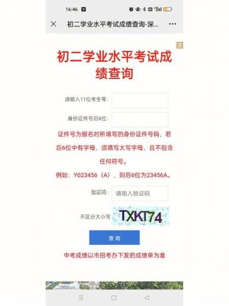 考试过了怎么查成绩_考试过了多久能拿证