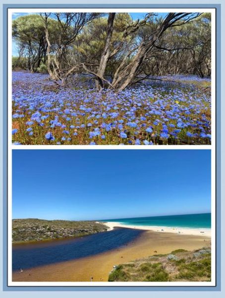 移民珀斯很后悔_珀斯生活成本真的很高吗