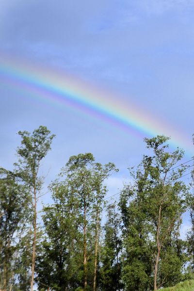 雨过天空为什么那么蓝_雨过天空会出现彩虹吗