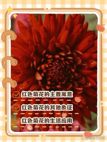 红色代表什么_红色象征意义有哪些