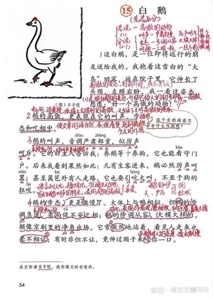 鹅白词语是什么_鹅白词语怎么用