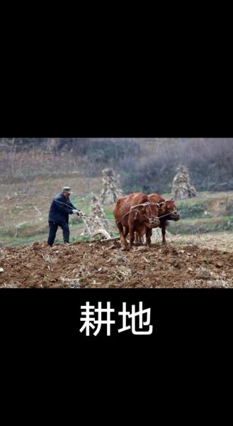 辛勤的样子_如何描写劳动场景