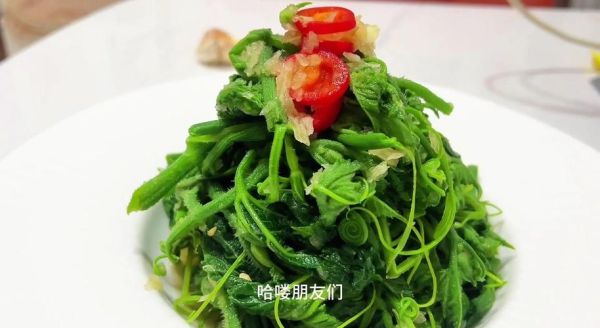 南瓜尖怎么炒好吃_南瓜尖焯水几分钟