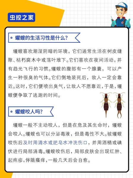 播放虫是什么_播放虫怎么彻底删除