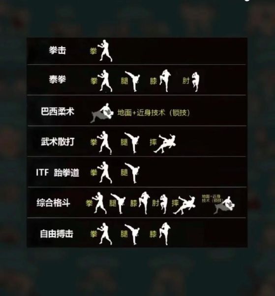 格斗新手如何入门_格斗技巧有哪些