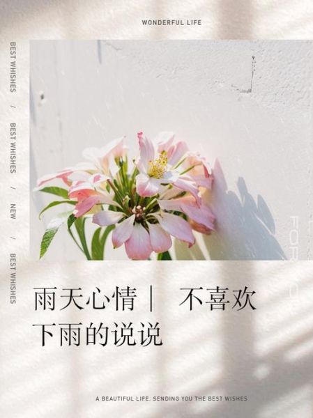 为什么喜欢雨天_雨天带来的好处