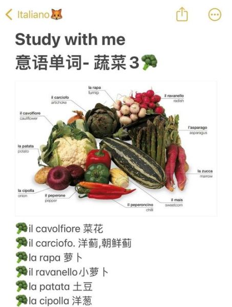 菜啥词语有哪些_菜啥词语怎么造句