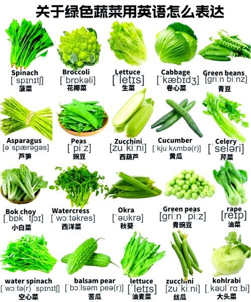 菜啥词语有哪些_菜啥词语怎么造句