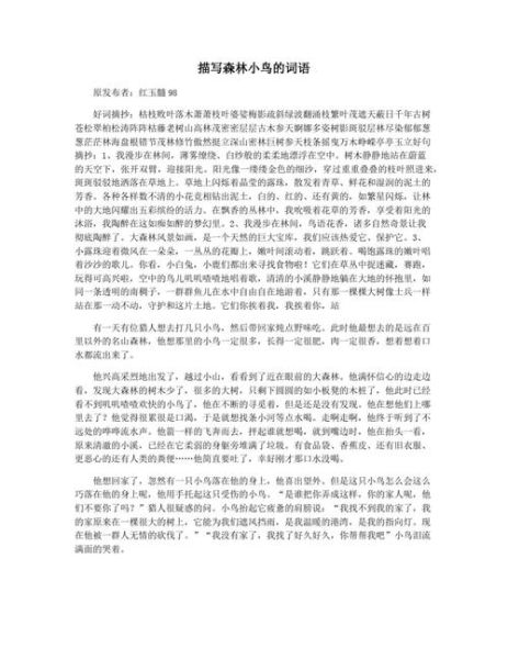 观察鸟的词语有哪些_如何描写鸟类动作神态