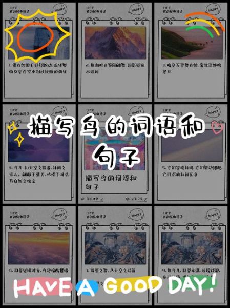 观察鸟的词语有哪些_如何描写鸟类动作神态