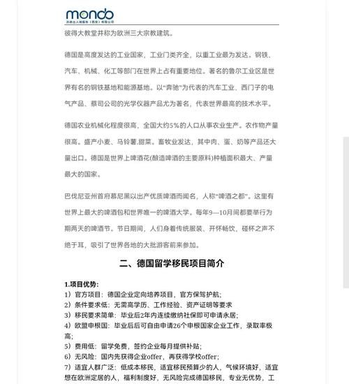 移民德国需要什么条件_德国技术移民最新政策