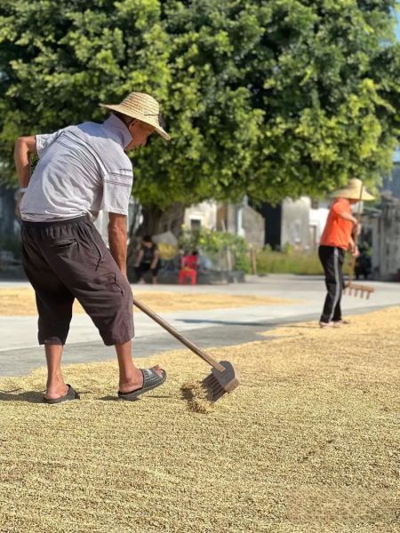 farmer是什么意思_farmer的职业前景如何