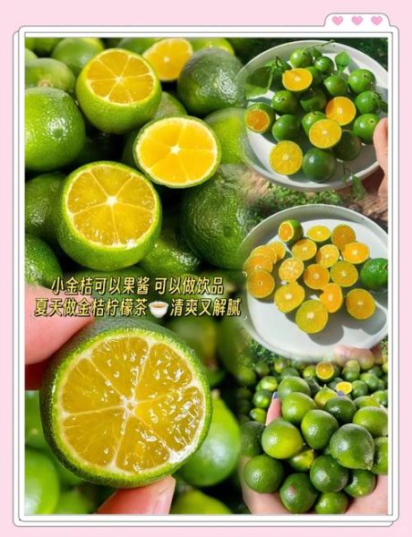 金桔柠檬水怎么做_金桔柠檬水需要去皮吗