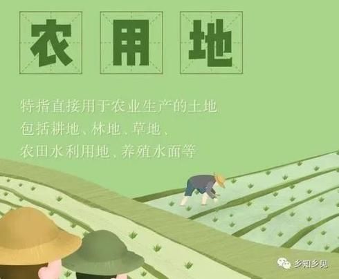 农田劳动的词语有哪些_如何教孩子理解