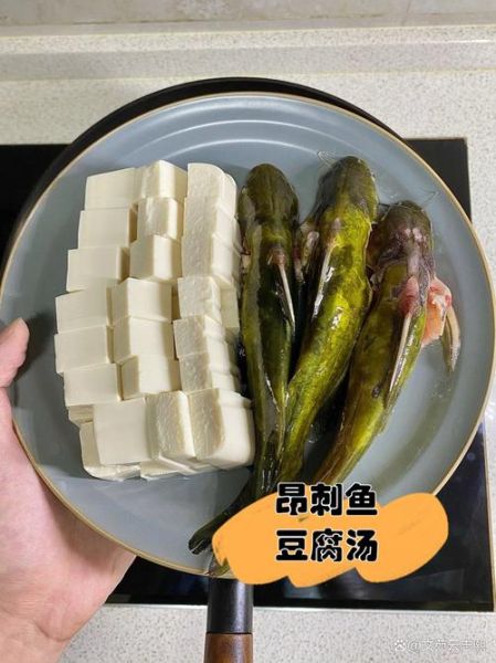 昂刺鱼豆腐汤怎么做_昂刺鱼豆腐汤的做法窍门