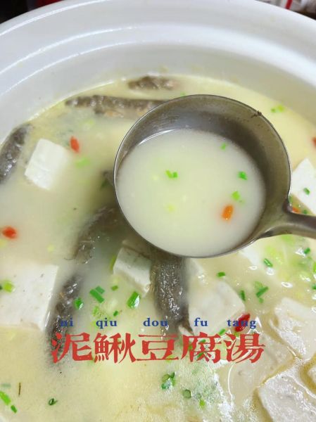 正宗泥鳅炖豆腐怎么做_泥鳅炖豆腐的家常做法
