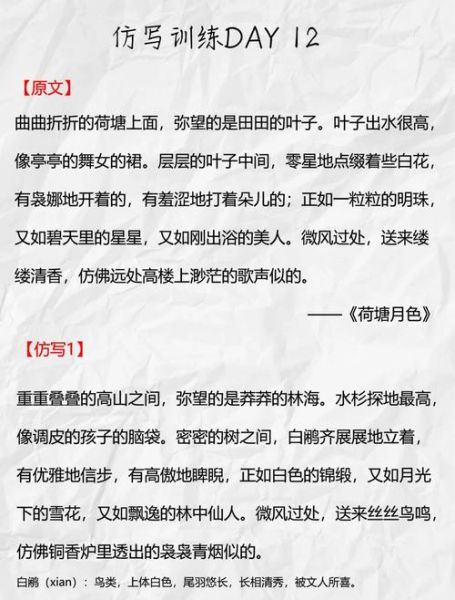 荷叶的描写词语有哪些_如何用在作文里