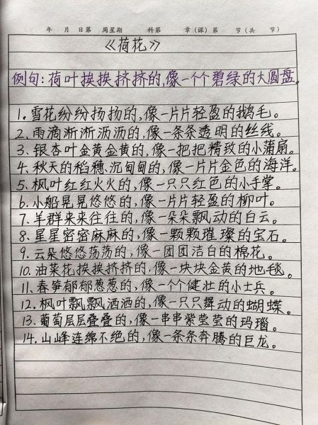 荷叶的描写词语有哪些_如何用在作文里