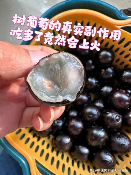 葡萄的功效与作用有哪些_吃葡萄会上火吗