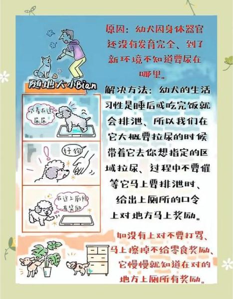 乱丢东西的危害有哪些_如何改掉乱丢东西的坏习惯