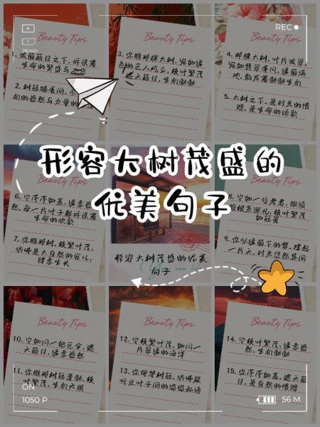 茂盛的句子怎么写_如何让语言更生动