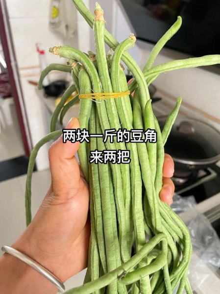 正宗自制酸豆角怎么做_酸豆角腌制多久能吃