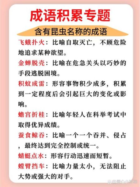 怎么形容虫子_虫子有哪些形容词