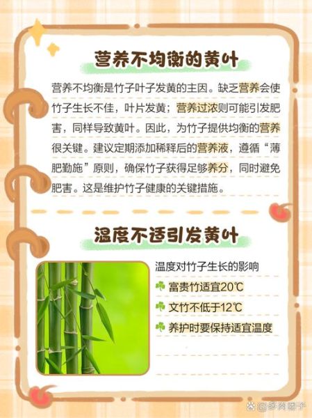 秋天的竹子有什么寓意_秋天竹子变黄怎么办
