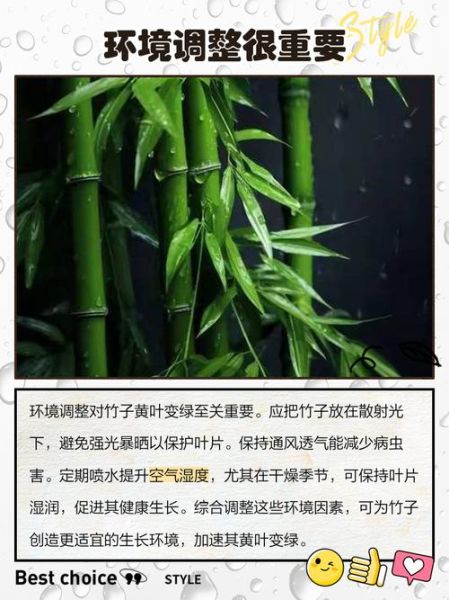 秋天的竹子有什么寓意_秋天竹子变黄怎么办