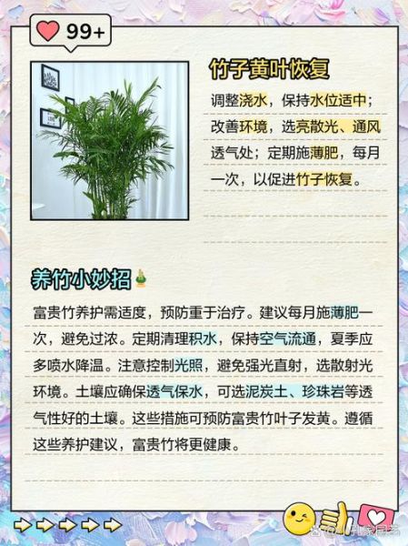 秋天的竹子有什么寓意_秋天竹子变黄怎么办