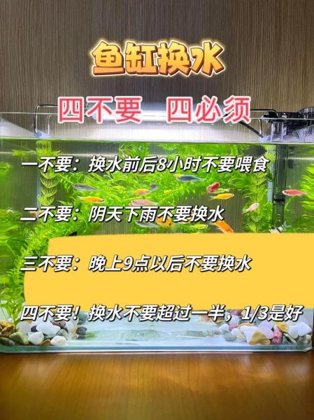 鱼怎么养才不死_鱼缸水质怎么调