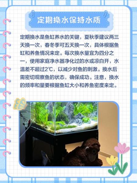 鱼怎么养才不死_鱼缸水质怎么调