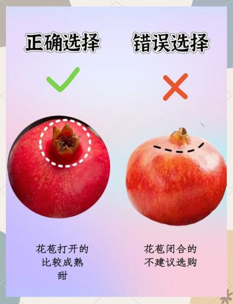 石榴怎么挑_石榴的功效与作用