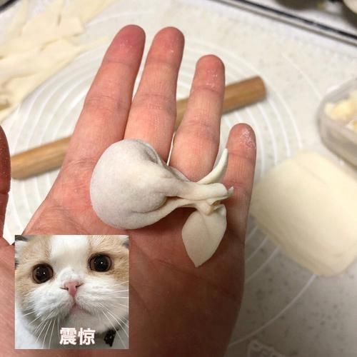 手工馄饨皮怎么做_馄饨皮和面比例是多少
