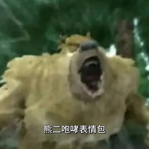 熊的神态词语有哪些_如何准确描写熊的表情