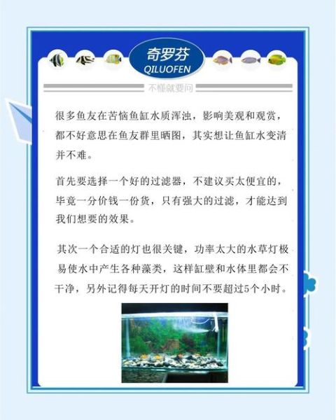 清澈见底的水是怎么形成的_如何保持水体长期清澈