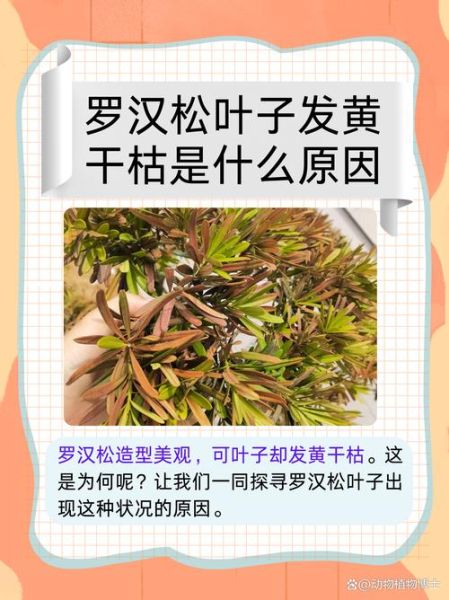 枯萎是什么意思_植物枯萎的原因有哪些