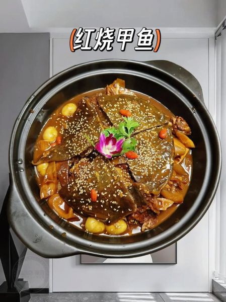 红烧甲鱼怎么做才好吃_红烧甲鱼的家常做法