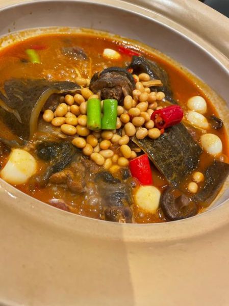 红烧甲鱼怎么做才好吃_红烧甲鱼的家常做法