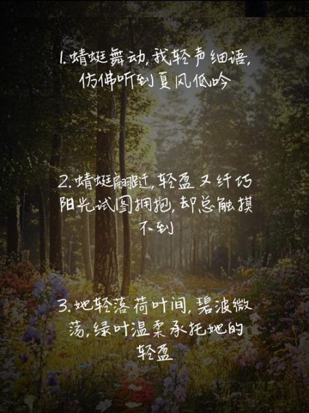 荷叶蜻蜓有什么寓意_荷叶蜻蜓诗句有哪些