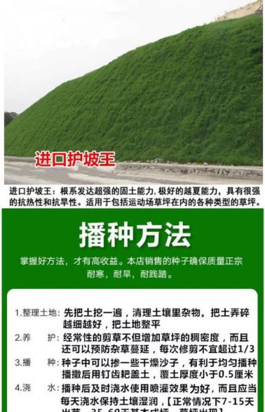 青草怎么种_青草种子多久发芽